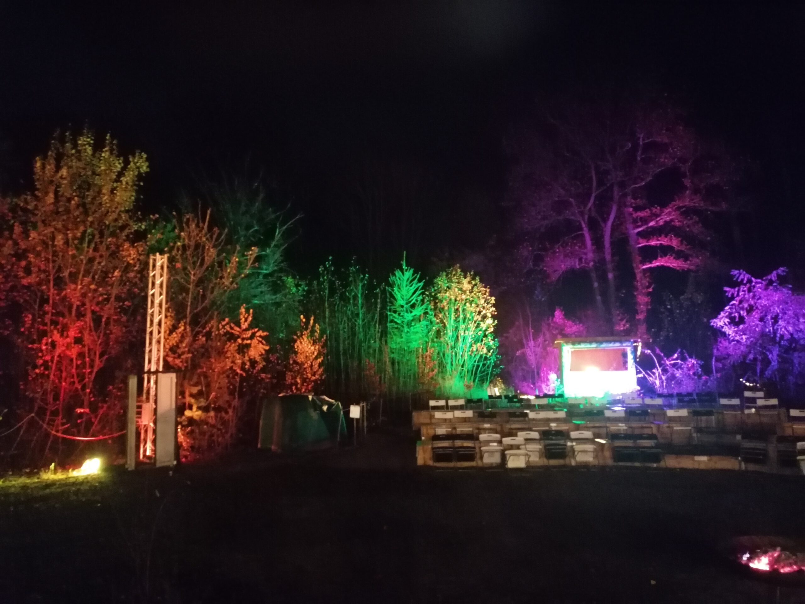 Im Herbst und Winter erstrahlt der Kultr-Dschungel in bunten Farben. Magisches Licht verzaubert die Natur und schafft ein Gesamtkunstwerk aus Farben und Formen