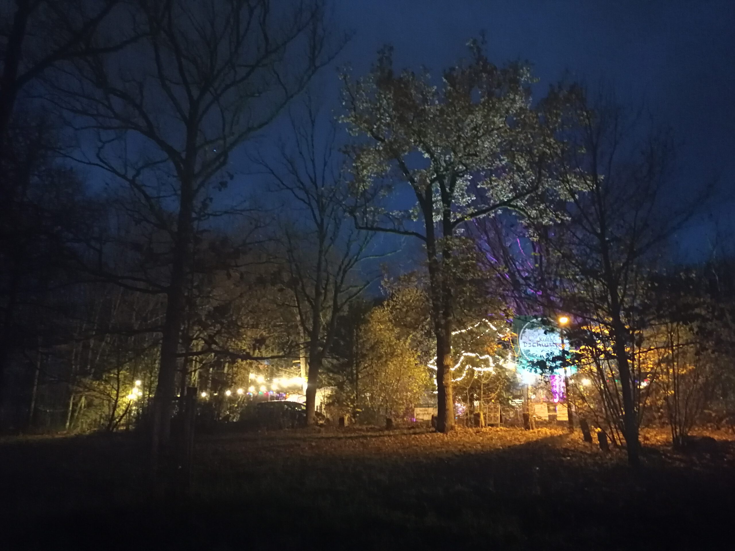 Im Herbst und Winter erstrahlt der Kultr-Dschungel in bunten Farben. Magisches Licht verzaubert die Natur und schafft ein Gesamtkunstwerk aus Farben und Formen
