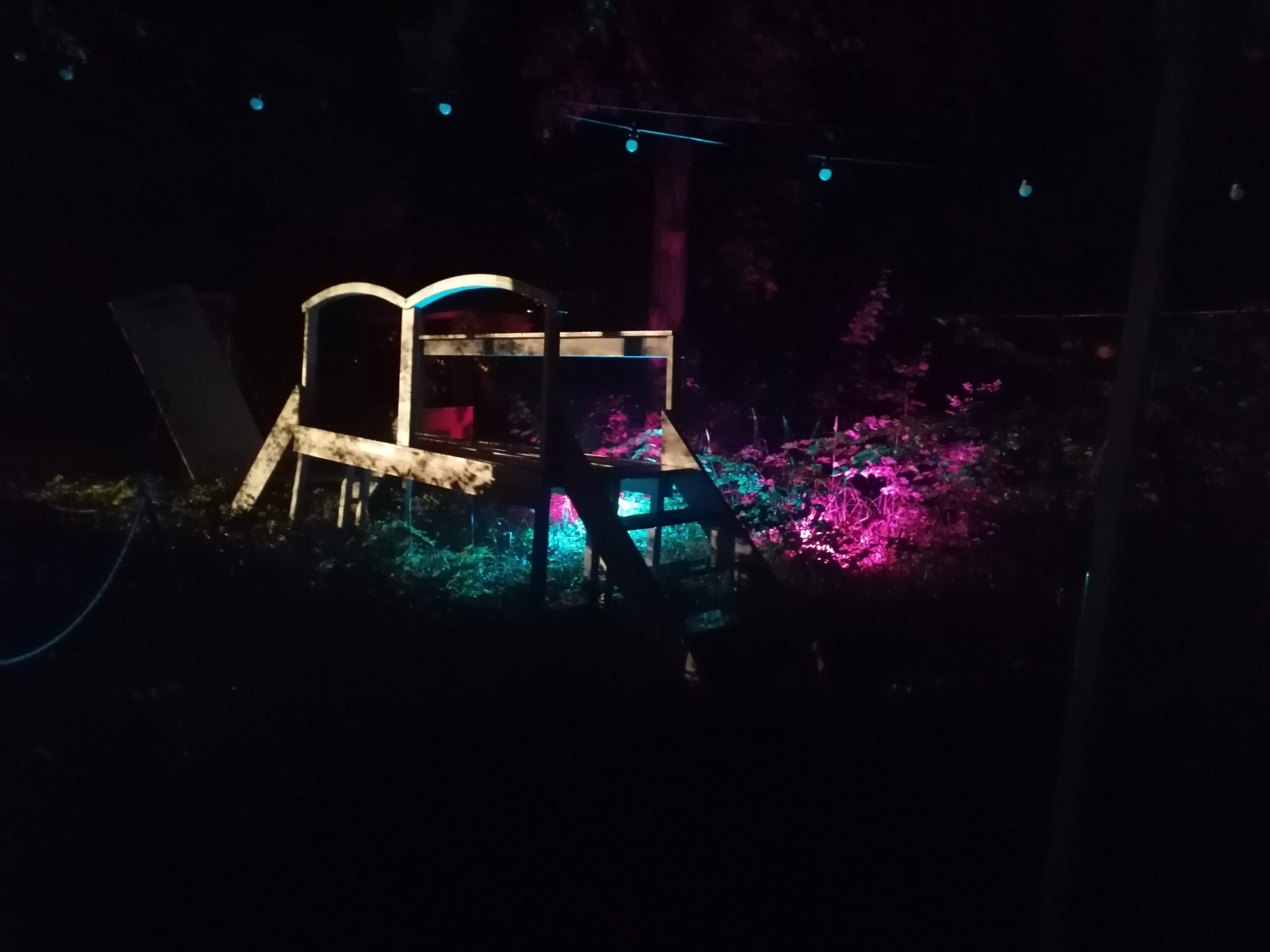 Magisches Licht - Beleuchtung unserer Kunst Installationen im Wald. Lichtkunst im Herbst und Winter