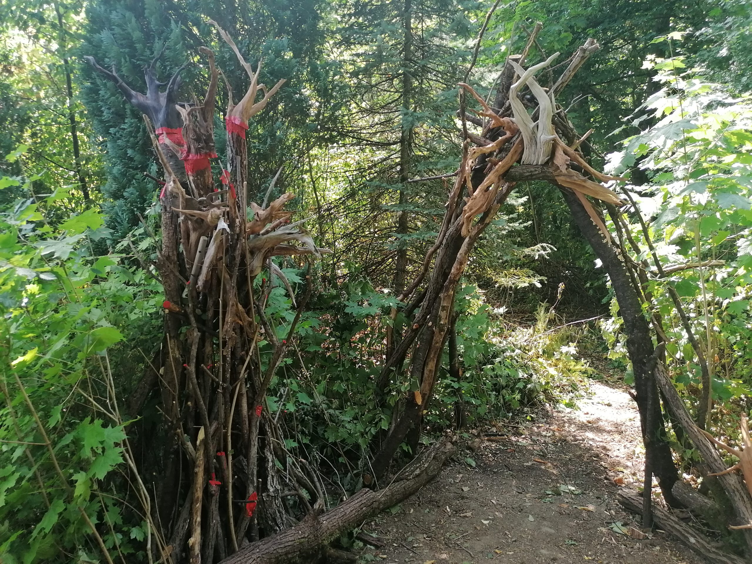 Kunst wohin man schaut. Im Wald, in der Natur gibt es viele Installationen und Malerei zu entdecken